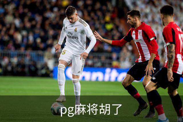 pg麻将胡了企业简介